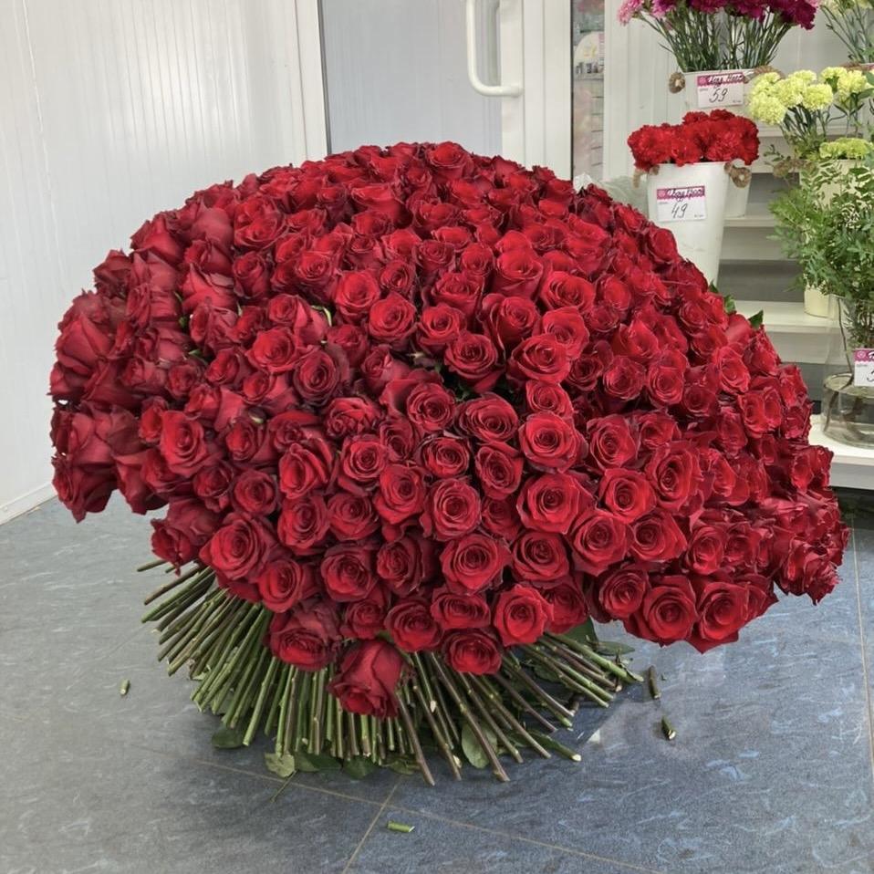 Букеты из красных роз 80 см (Эквадор) [articul: 25452t]