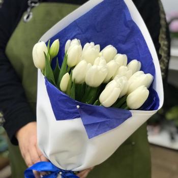Белые тюльпаны 23 шт. [№  42273tol]