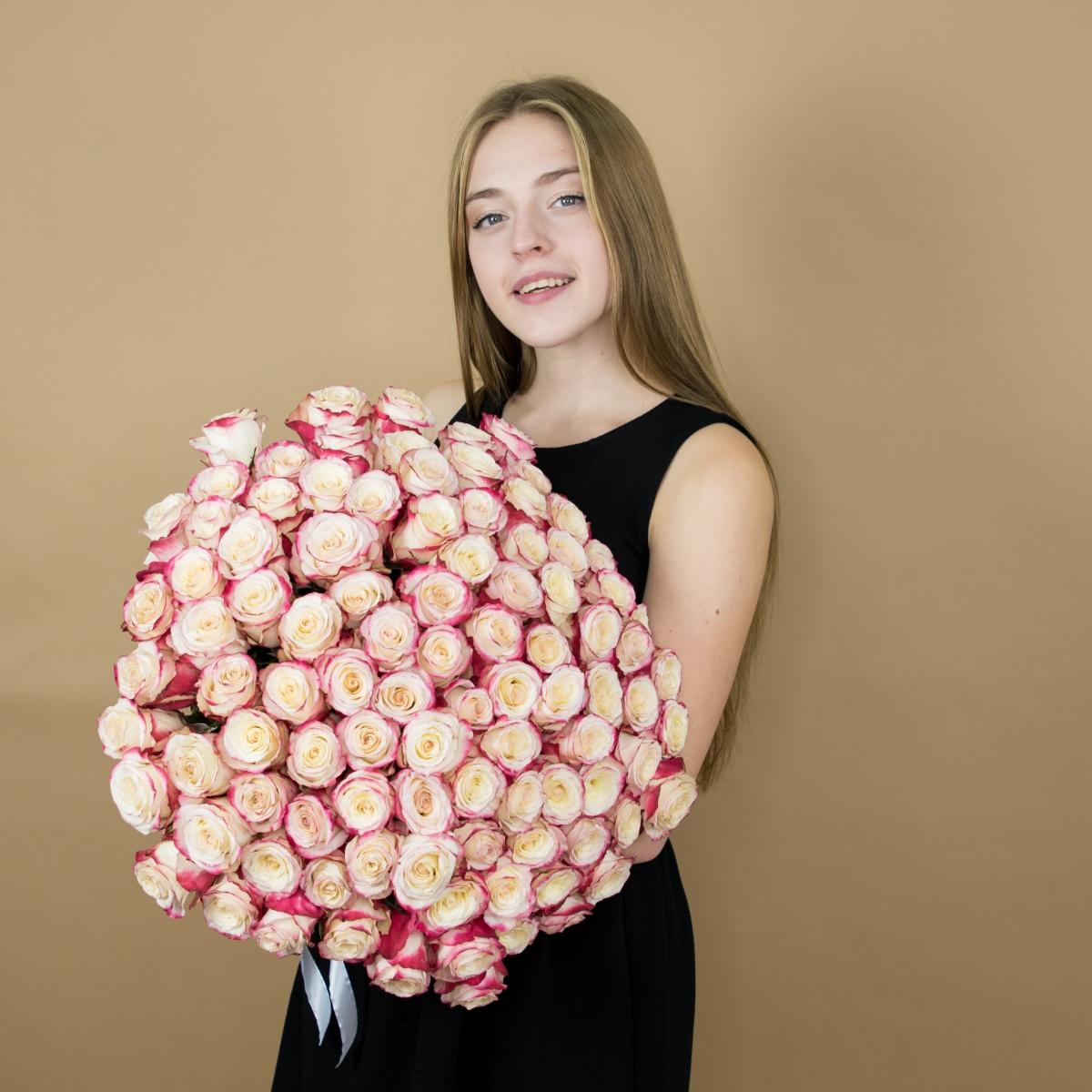 Розы красно-белые (40 см) Эквадор код товара  63tol