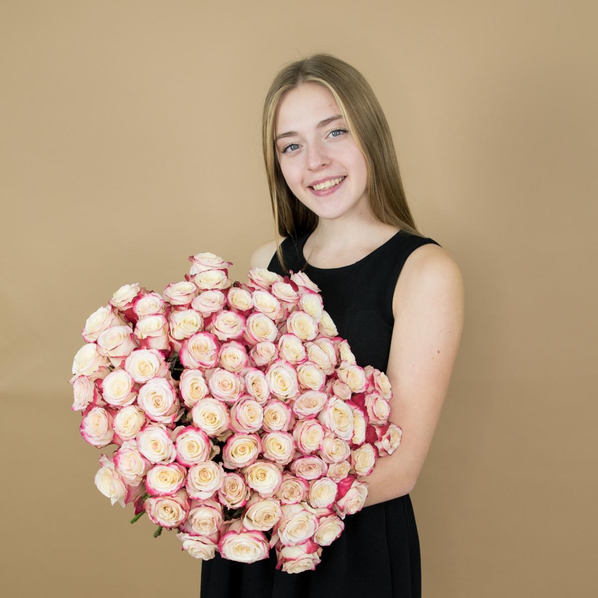 Розы красно-белые (40 см) Эквадор код товара  63tol
