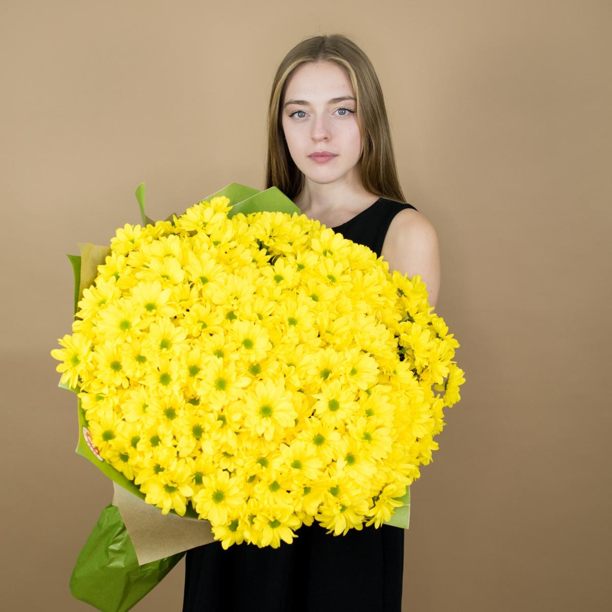 Хризантема кустовая желтая код товара - 11613tlt