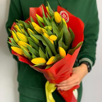 Тюльпаны желтые 25 шт (код: 17766t)